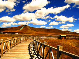 ������Ȼ������ ��������ʱ�ڽ�̻Ի�