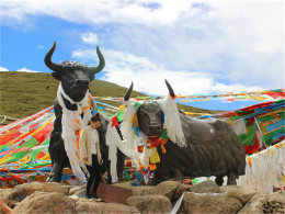 ���ô��ֿɼ� ����ͨ�������ĳ�ʥ֮·