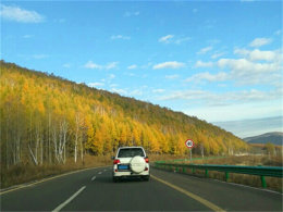 עһ�롰�˷ܼ��� ����ɽչ��������ɫ