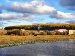 ��Ȼ�����ͳ��� �����ӱ���ɫ��Ⱦ���