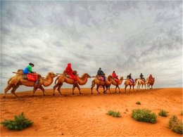 ���������ڶ��� ָ���ᴥ��ʧ��ɳ�ޡ�