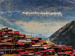 ����·;�������� ��ɫ�ﾭ��趯���