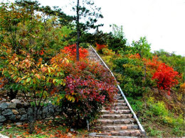 ����һ���õط� ������ŨŨ���������