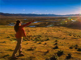 ���ܳ�����ϴ�� ��ظ�ԭ���������˵