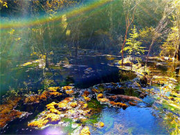 ��������Ȼ������ ���Ϳ�������ʰ��