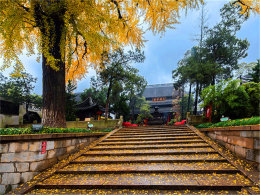 �ӱ��������� ��֮�����߹����ݷ���·