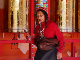 ����Ӧ�������� ��������������