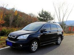 ץס�����β�� ������������ɫ�ʰ��