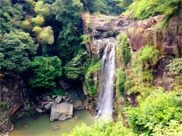 ������Ȼ���ٻ� �������������������