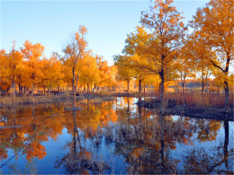 ����ʤ�յ�ʱ�� ��������º�����֮��