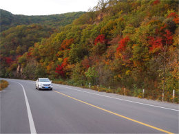 ӵ���������� ������ؽ�����������