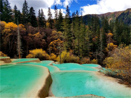 �����������ɡ� ���կ���ɳ��ٴ����