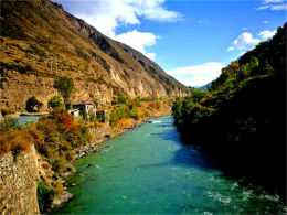 ������е��ջ� ���鴨����;��Ҷ�ƻ�