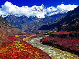 ��Ӱ���¼�������� �ִ���³�ز�Ͽ��