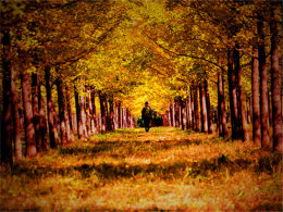 ���´Ҵ����� �ݷ�ͳ��������յ�����