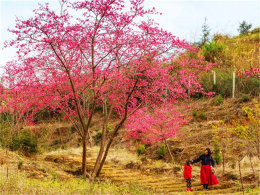 ������Ц���ͨ�� �·�ӣ��������ʤ��