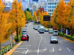 ����ɫ�ʰ�� ż�����������񹬵�����