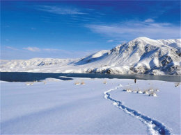 չ�ֳ�һ���¾��� ������������ɫ����