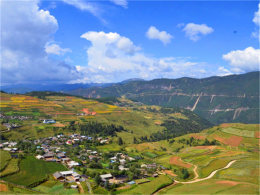 �߲����Ϸ绨ѩ�� �����մ����ҹ�԰