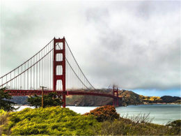 ��˼ҹ���ճ��� ����ţ�нŲ���������