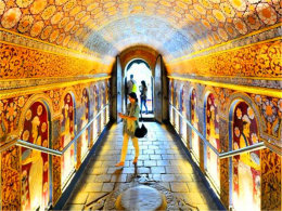 ������õĹ��� ϸ����������������