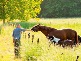 ��������������� �߽����ġ������ء�