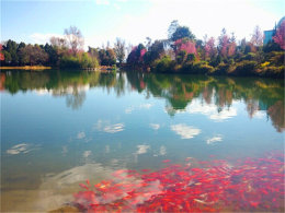 �����ǳ�� ��������������������