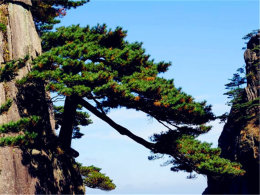 Ʒ�����ᵱ������� ����֮��Ρ����׳