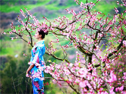 ����Ӱ���ֳ��� ����2016������������