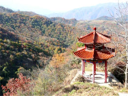 ɽ��Ϫ���������� ����ҩ�����徻����