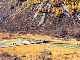 �������õ��� һ·����ֱ���Ƕ�����