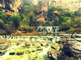 Լ��������ѽ����� �Լ�ǰ��ͨ��Ͽ