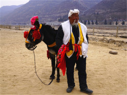 ���Ͻ�ˮ���� ���Ժ����ٲ����ư���