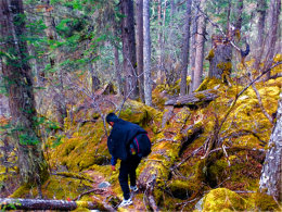 ׼�����㼴�̳��� ���ӽ���������֮��