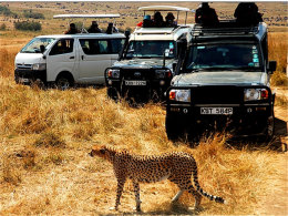 ���Լ�ϲ������ ��������¶��˵Ļ���