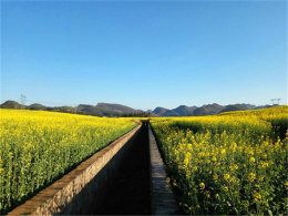 "������ʡ"���´� ����ƽ����������