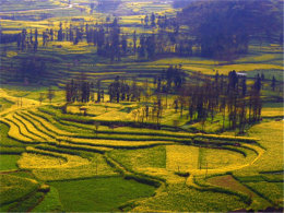 ����������˵ ����ƽ����Ѱ�Ҵ�����Ϣ