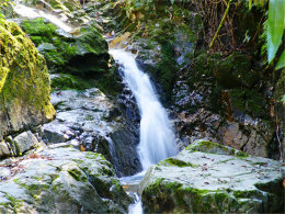 ���е�����ʥ�� ������ˮɽ��ˮ��֮��