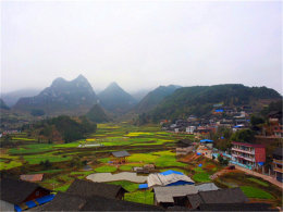 ����ͣ�������� ������˾���������