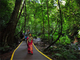 ʫ�Ƴ��껪 ͦ�������ŵ��˽������Ļ�