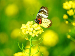 �����ѵ�ϸ�������� �����Ͳ˻�����