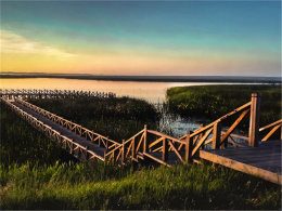 ����ӵ������Ȼ ���ܹ��غ����������