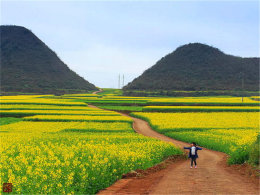 ���ؽ��һƬƬ ��˿���Ͳ˻����ö�Ŀ