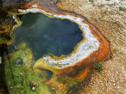 �����������ĵ�ɫ�� ����������ʯ��԰