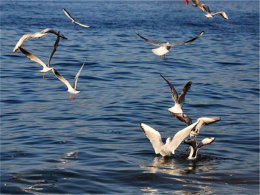 ���������ů���� ����Ÿ�ڸ��ɺ�����