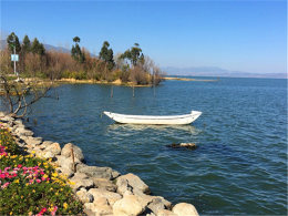 ���������Ļ��� һ�������ܱ�����ϲ�