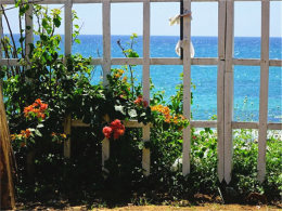 �ջ���õ�Ц�� ���������Ļ������á�