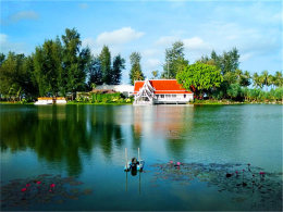 ����ʢ�Ĺ��� ����˹����Ⱥ��ϸ��ɳ̲