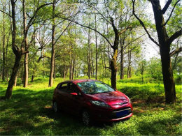 ������ˮ���� ����ͩ�޵�������Ц��