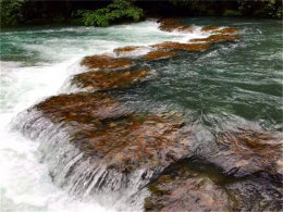 ������Ȼ������ Ʒ��ԭ֭ԭζ���Ĺ���